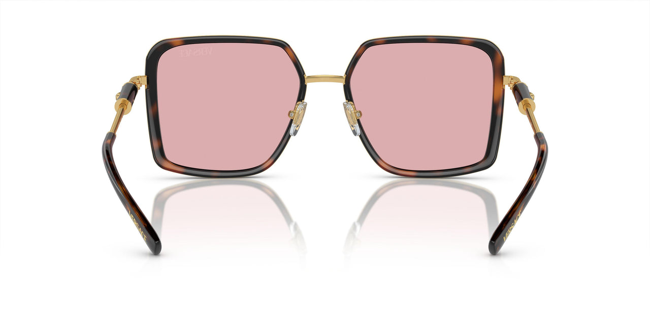 100284 - Tortoise - Light Violet