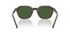 631571 - Brown - Bottle Green