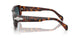 24/S3 - Tortoise - Light Blue Gradient Dark Blue