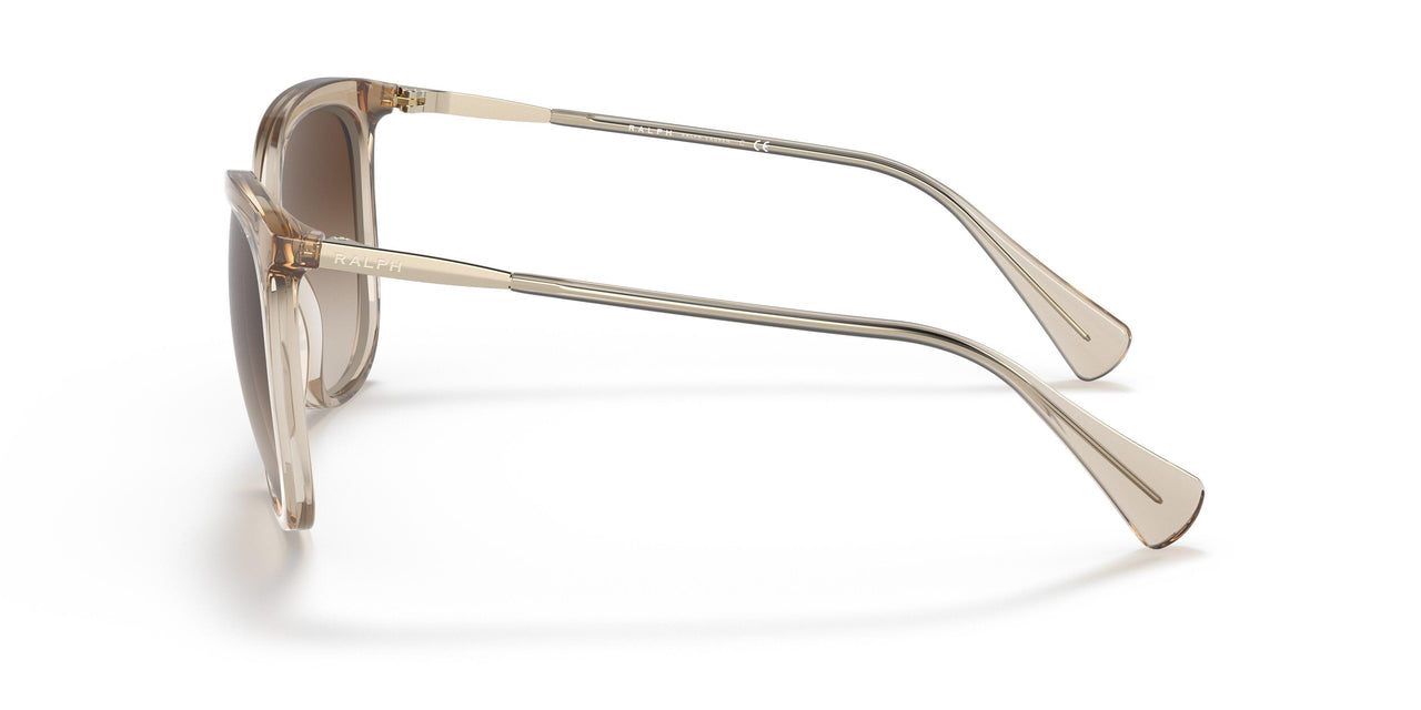 580213 - Brown - Gradient Brown