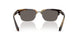 6301B1 - Tortoise - Dark Grey