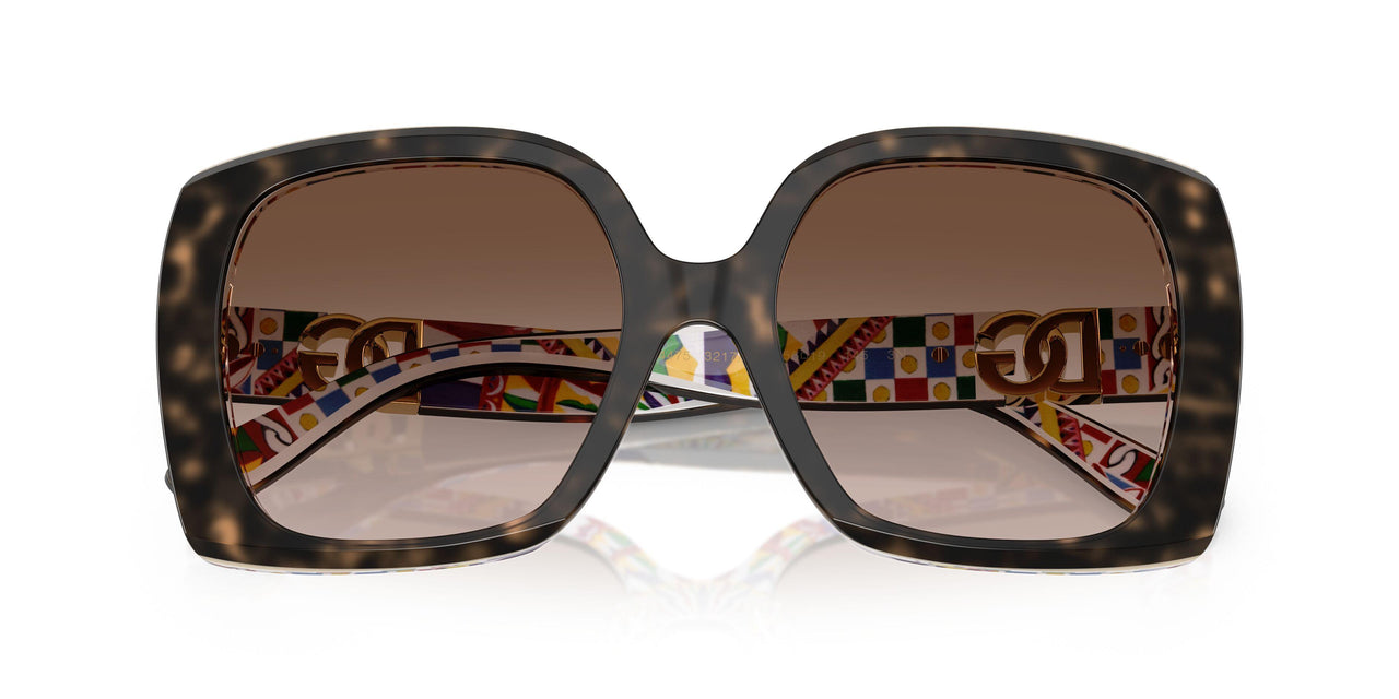 321713 - Tortoise - Brown Gradient