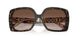 321713 - Tortoise - Brown Gradient