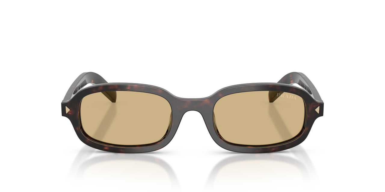 17N70R - Tortoise - Light Brown