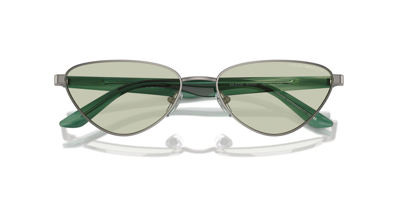 3010/2 - Grey - Light Green