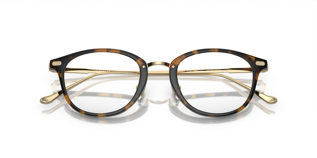 5120 - Tortoise