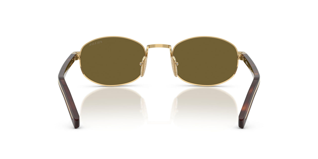 5AK09Z - Gold - Dark Brown