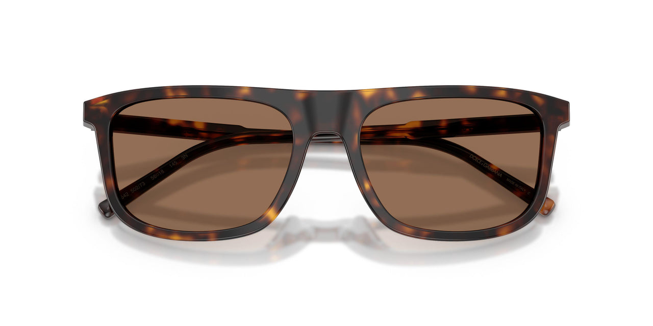 502/73 - Tortoise - Dark Brown