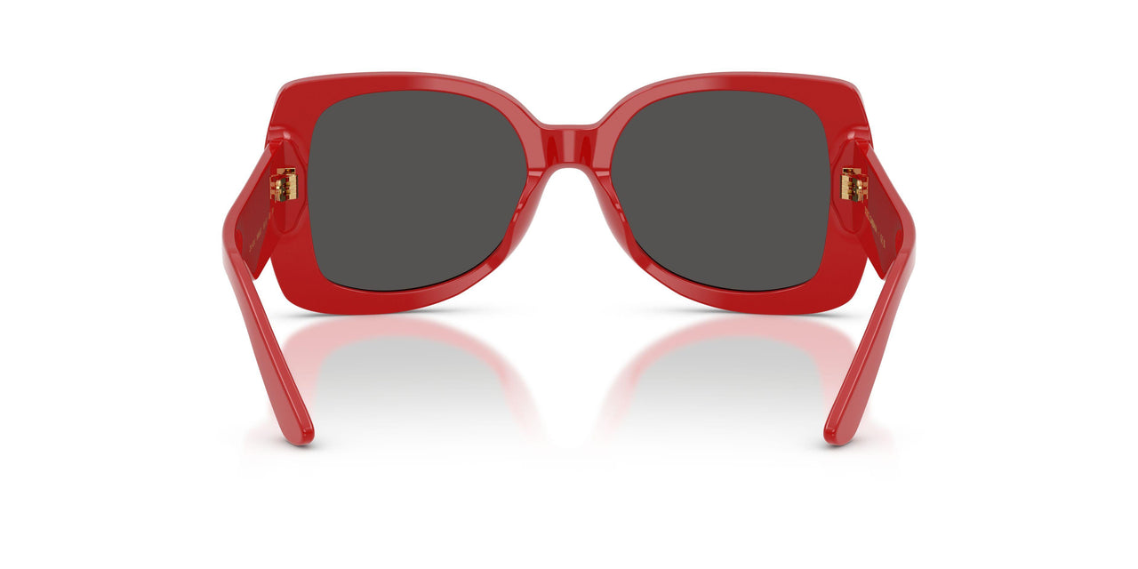 308887 - Red - Dark Grey