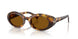 14L20V - Tortoise - Dark Bronze