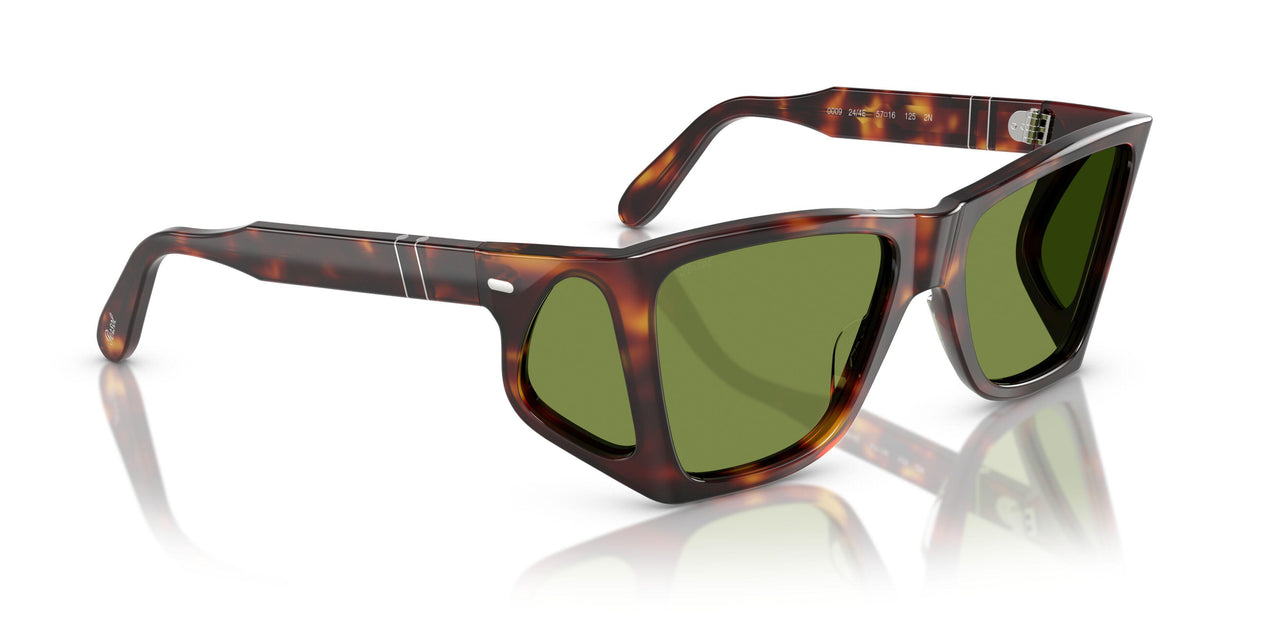 24/4E - Tortoise - Green