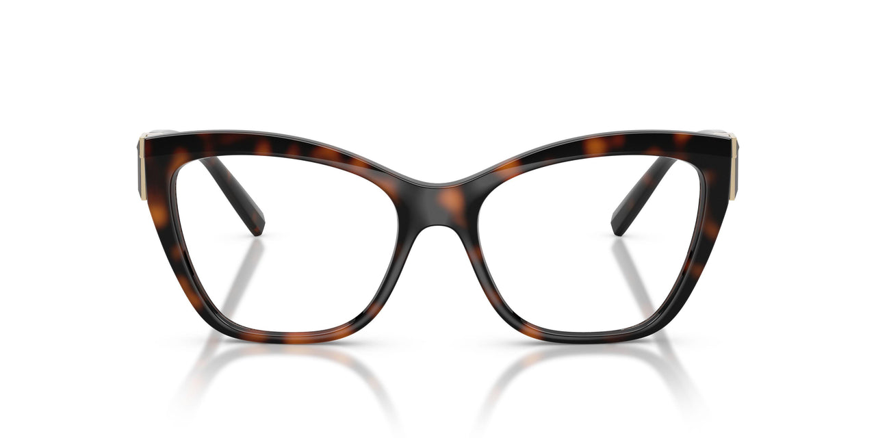 8015 - Tortoise