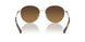 101484 - Gold - Silver Khaki Gradient Polar