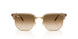 691851 - Brown - Clear Gradient Brown