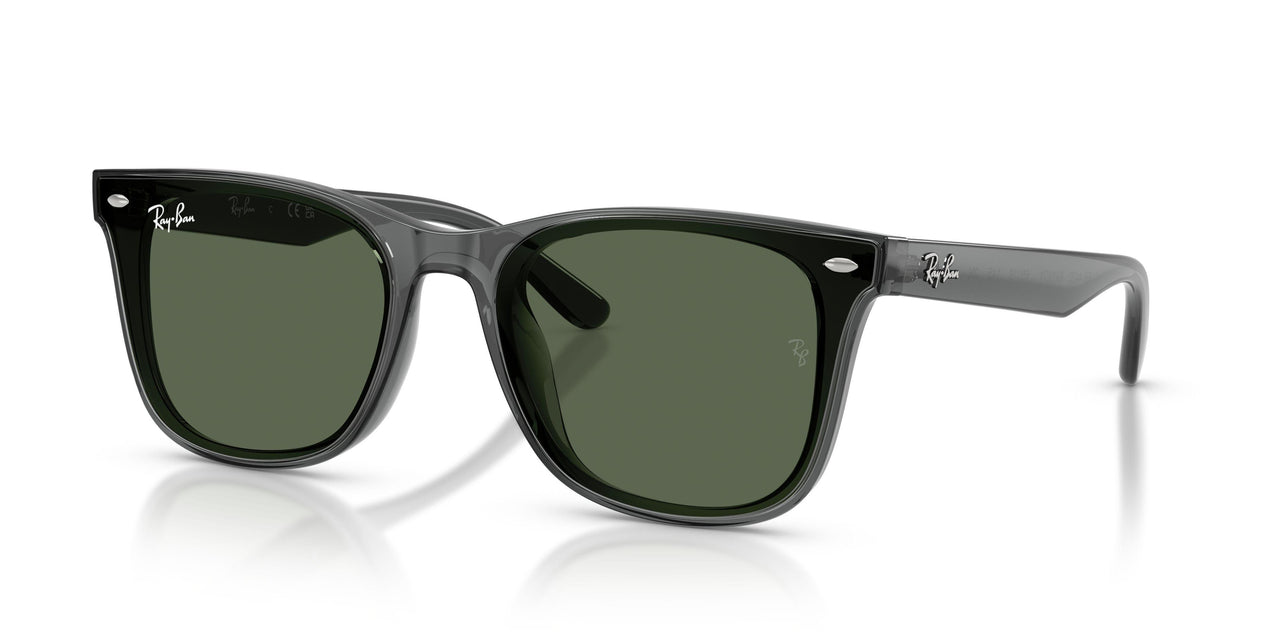 Ray-Ban 4420 Sunglasses