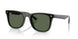 Ray-Ban 4420 Sunglasses