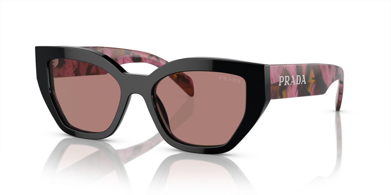 12O10D - Violet - Light Brown