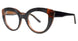 Brown - Black Brown