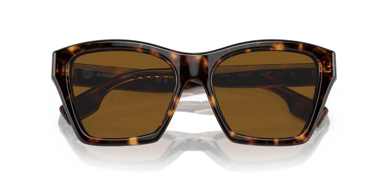300283 - Brown - Brown Polarized