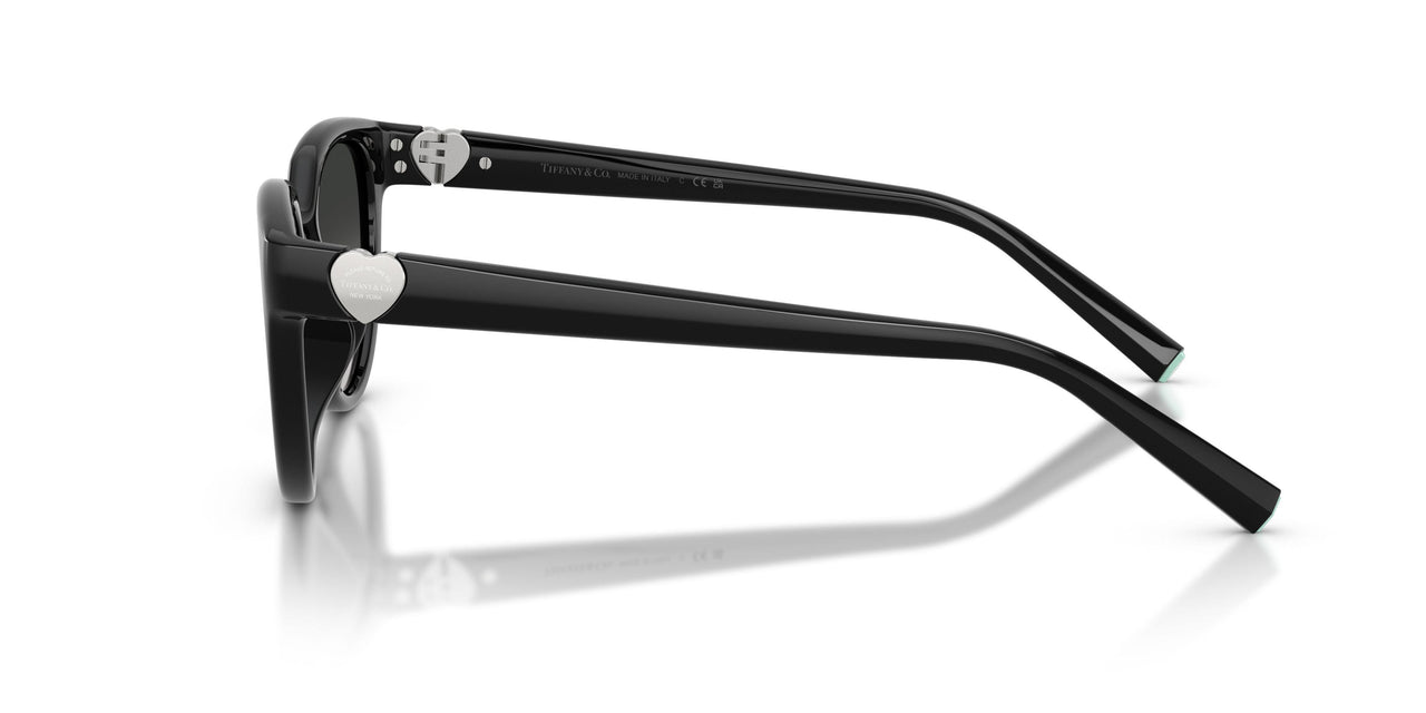 80013C - Black - Grey Gradient