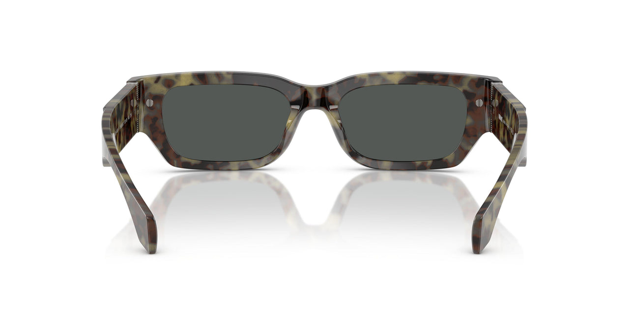 545687 - Tortoise - Dark Grey