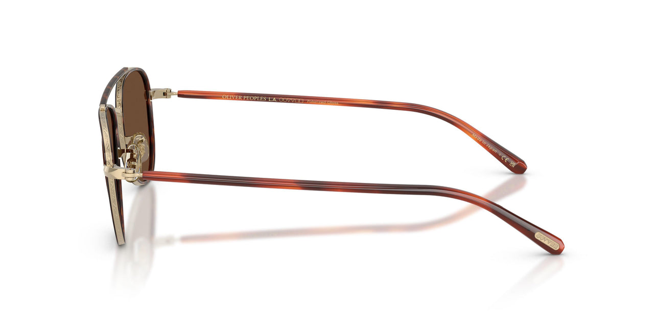 5035AN - Gold - Terra Polarized
