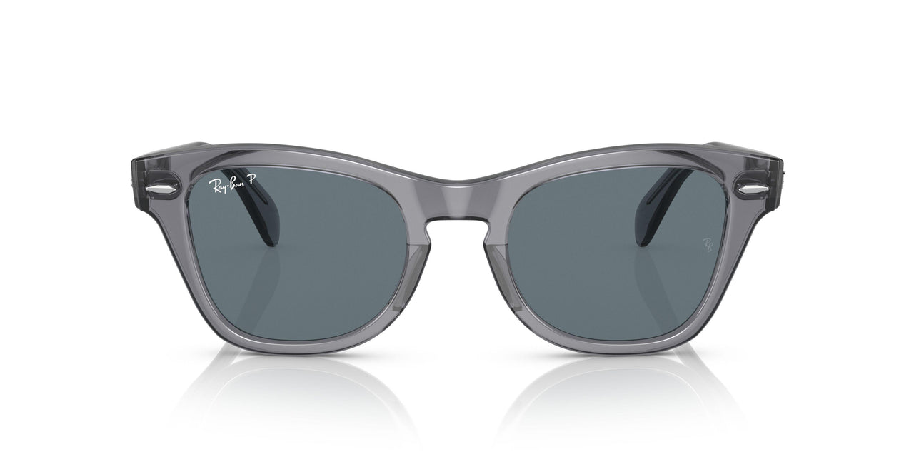 66413R - Grey - Dark Blue Polar
