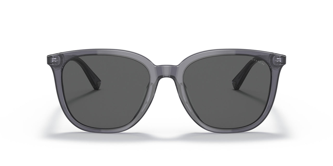 553787 - Clear - Dark Grey Solid