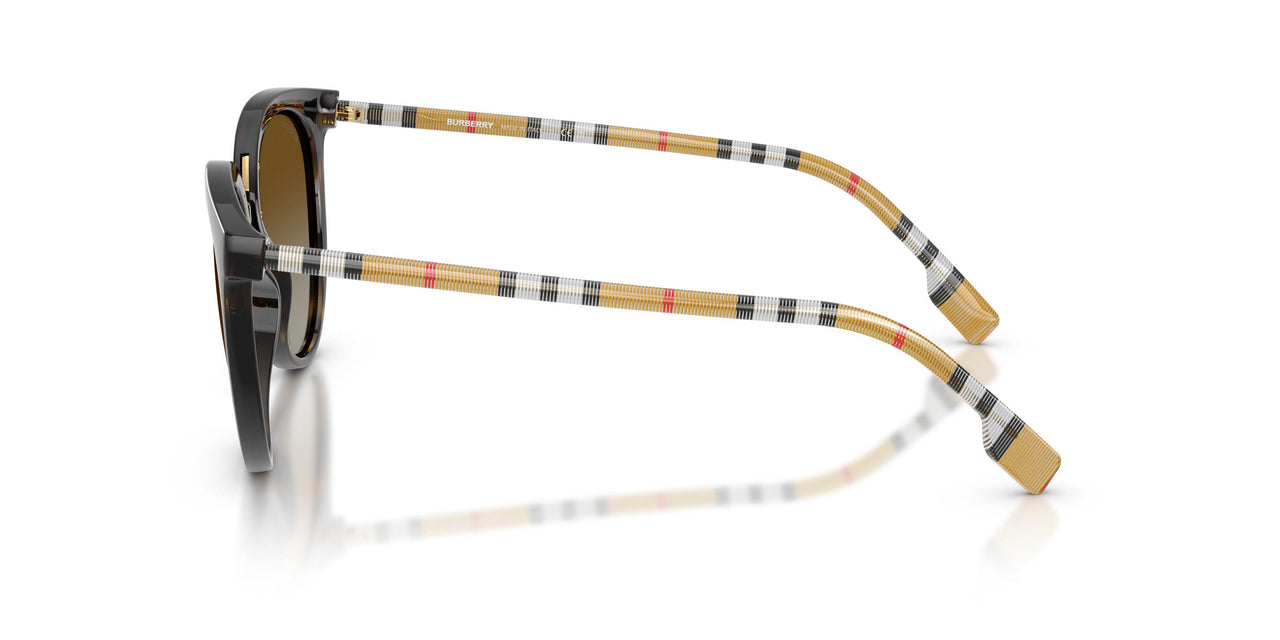 3854T5 - Havana - Polar Brown Gradient