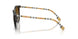 3854T5 - Havana - Polar Brown Gradient