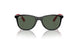 713171 - Black - Dark Green