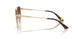 300613 - Gold - Brown Gradient