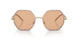332973 - Pink - Solid Brown