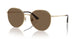 300673 - Gold - Dark Brown