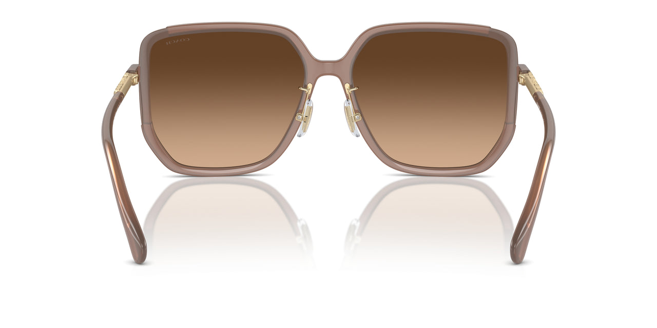 580874 - Brown - Brown Gradient