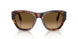 24/M2 - Tortoise - Brown Gradient Brown - Polar