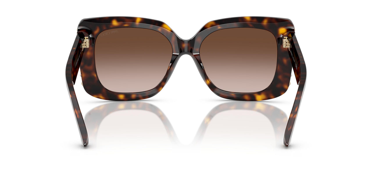 500213 - Tortoise - Gradient Brown