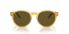 500573 - Tortoise - Dark Brown Olive