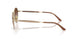 300213 - Gold - Gradient Brown