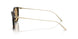 620773 - Tortoise - Brown