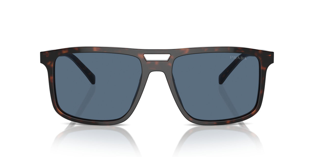 17N06A - Tortoise - Dark Blue