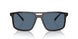 17N06A - Tortoise - Dark Blue