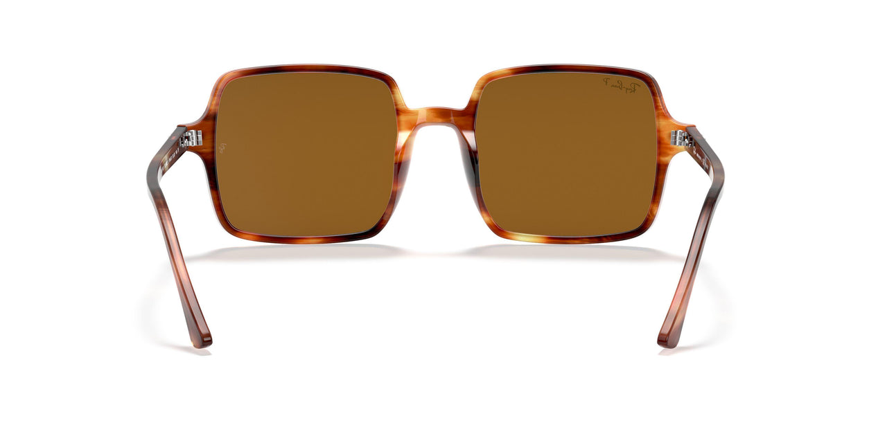 954/57 - Havana - Brown Polar