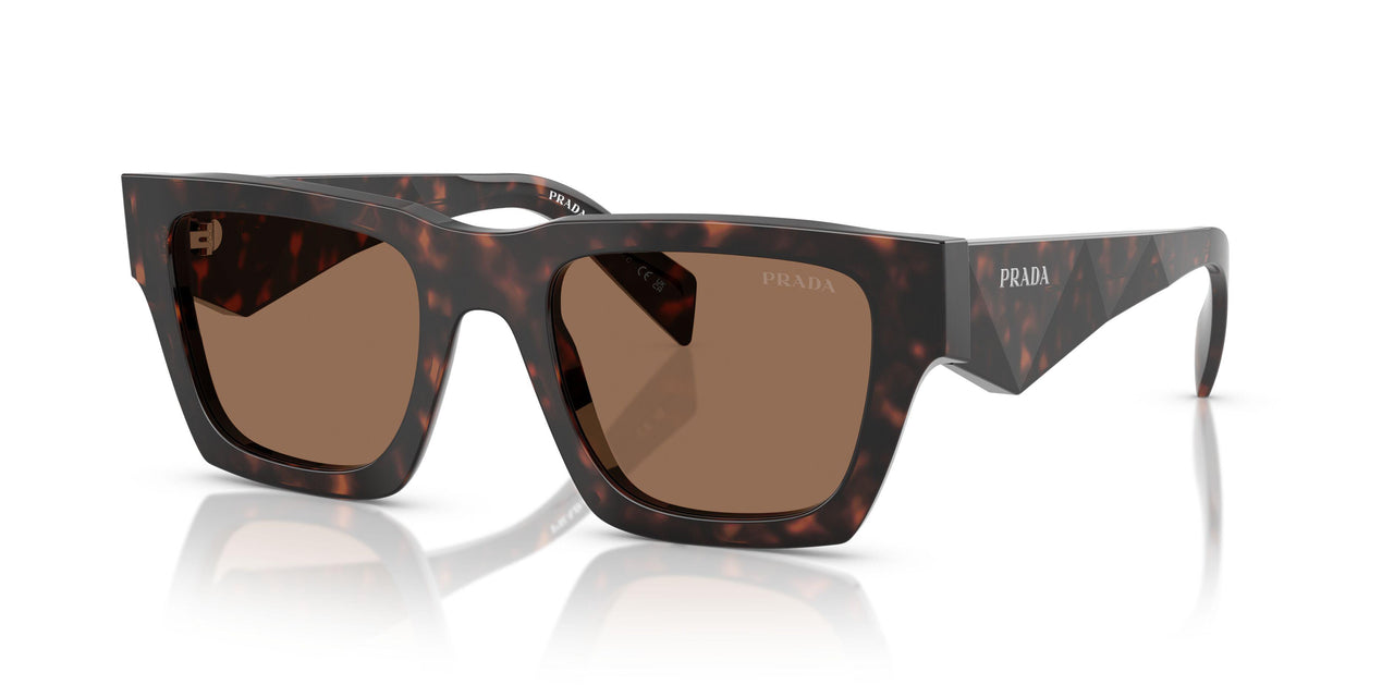 17N06B - Tortoise - Dark Brown
