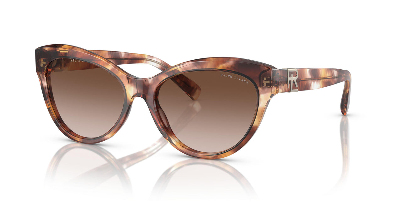 605413 - Tortoise - Gradient Brown