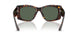 500271 - Tortoise - Dark Green