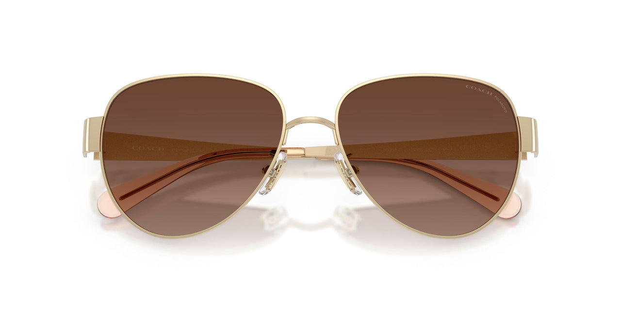 900587 - Gold - Brown Gradient Polar