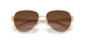 900587 - Gold - Brown Gradient Polar