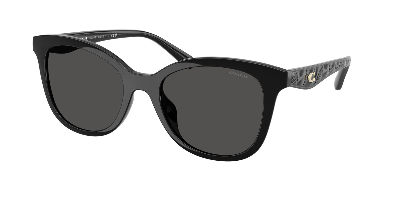Coach Cad25 8419U Sunglasses