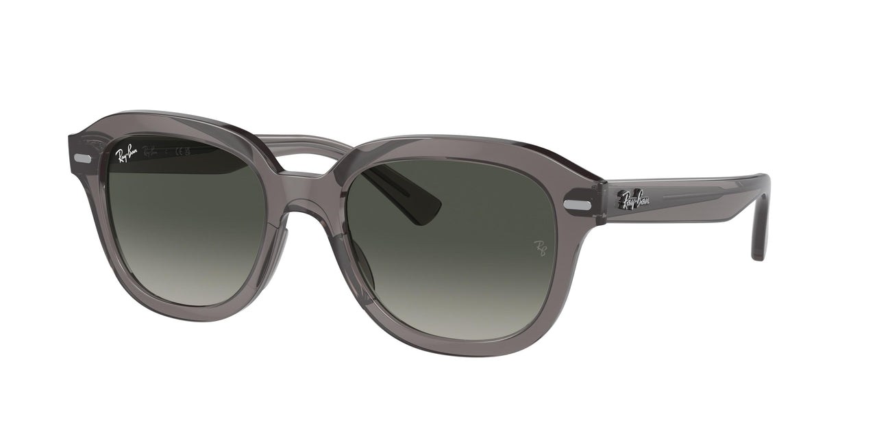 Ray-Ban Erik 4398F Sunglasses